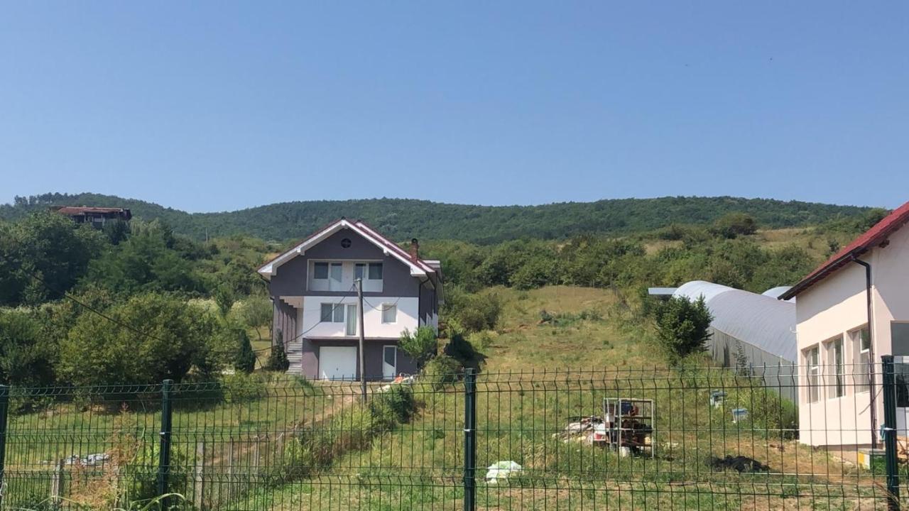 Lidia House Apartamento Alba Iulia Exterior foto